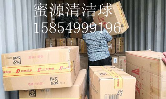 蜜源清洁球（3)