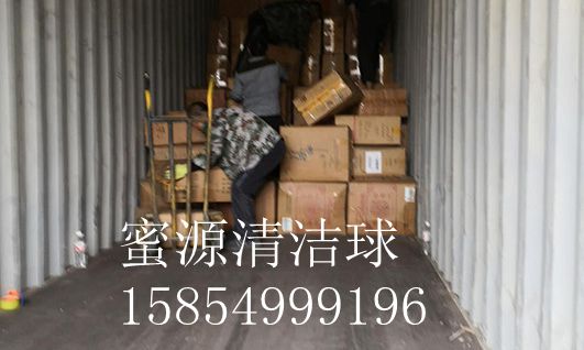 蜜源清洁球（4）