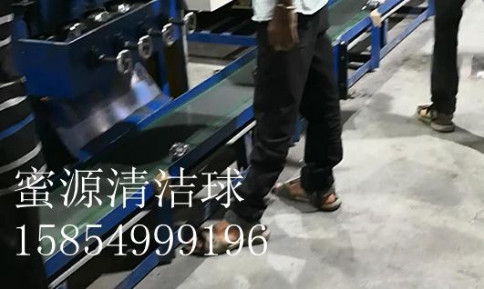 蜜源清洁球（5）