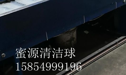 蜜源清洁球（6）