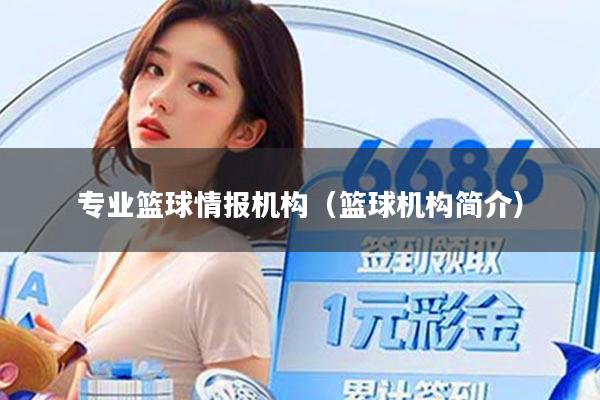 专业篮球情报机构（篮球机构简介）