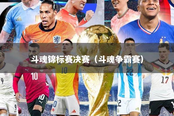 斗魂锦标赛决赛（斗魂争霸赛）