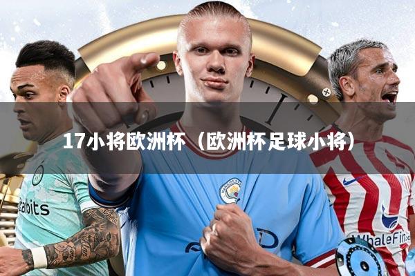 17小将欧洲杯（欧洲杯足球小将）