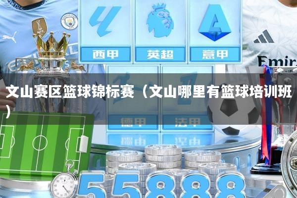 文山赛区篮球锦标赛（文山哪里有篮球培训班）