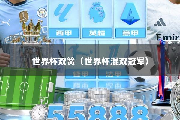 世界杯双簧（世界杯混双冠军）
