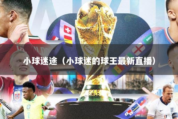 小球迷途（小球迷的球王最新直播）
