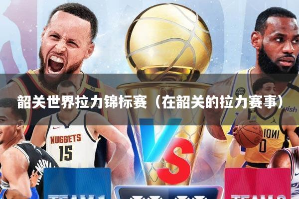 韶关世界拉力锦标赛（在韶关的拉力赛事）