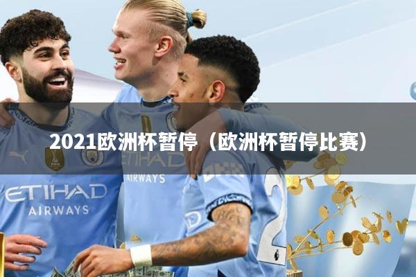 2021欧洲杯暂停（欧洲杯暂停比赛）