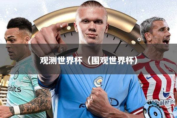 观测世界杯（围观世界杯）