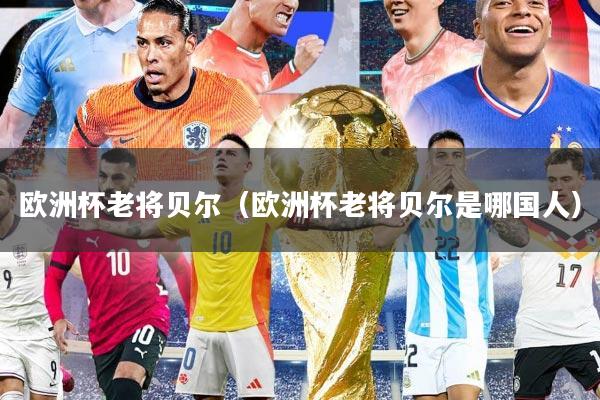 欧洲杯老将贝尔（欧洲杯老将贝尔是哪国人）